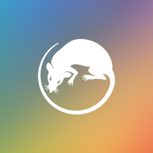 �岨�����ϵ�y