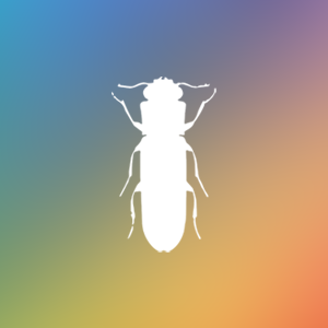 �岨���x���ϵ�y