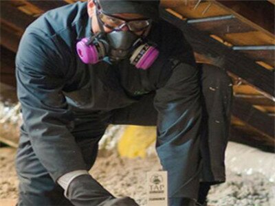 ���T���������